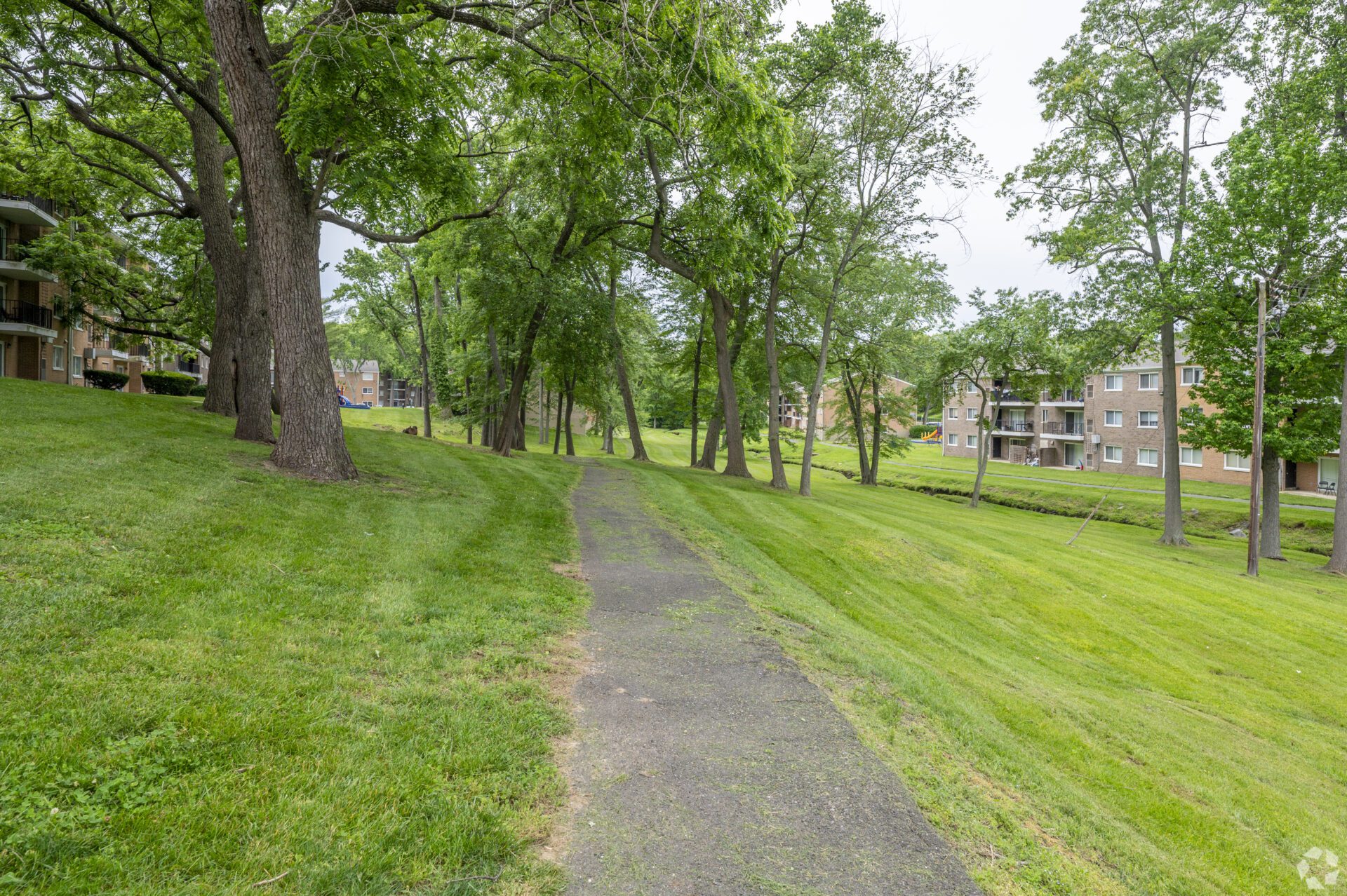Forest Road