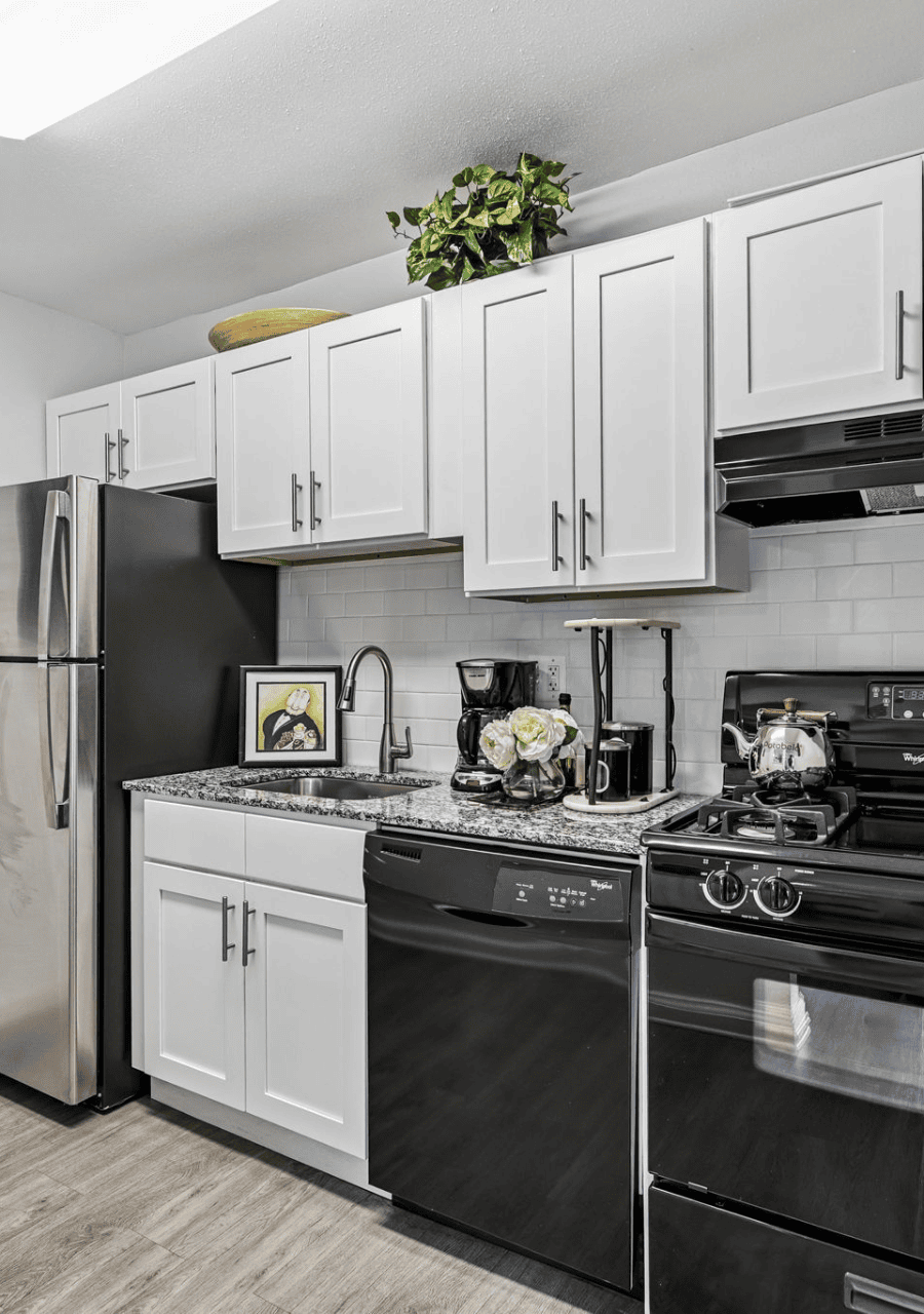 Luxury Kitchen Apartment
